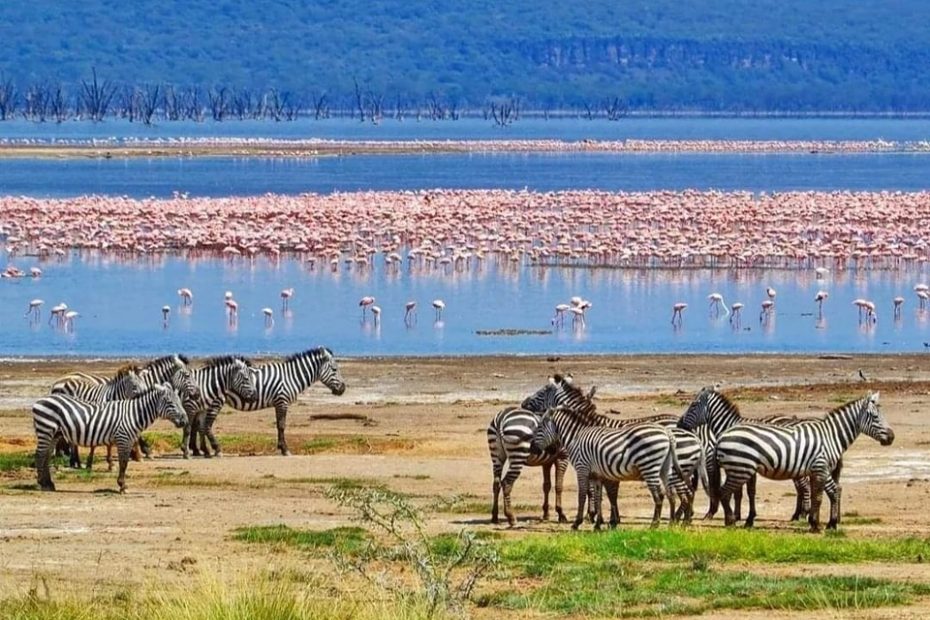 kenya's lakes,Lake Nakuru National Park