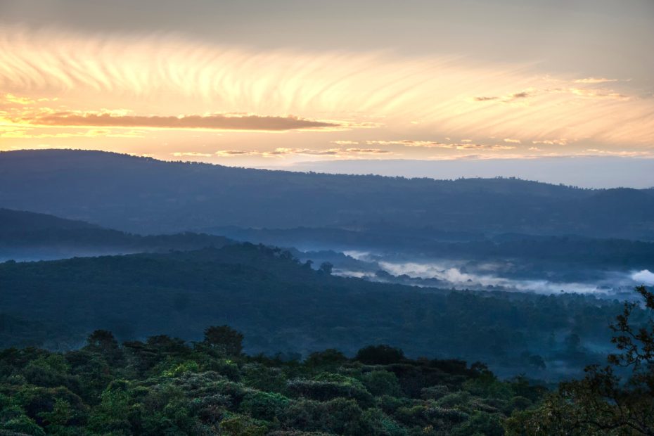 Misty sunrise over Kakamega Forest, Kenya