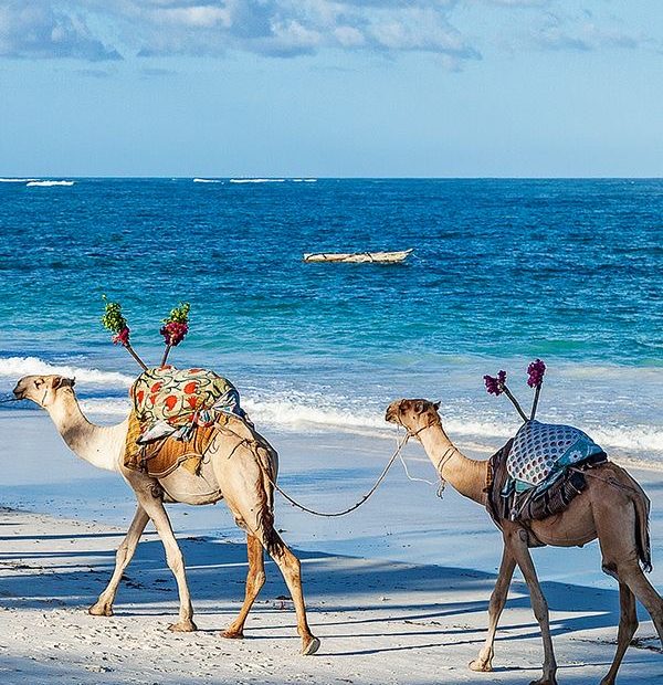 fun things to do in malindi