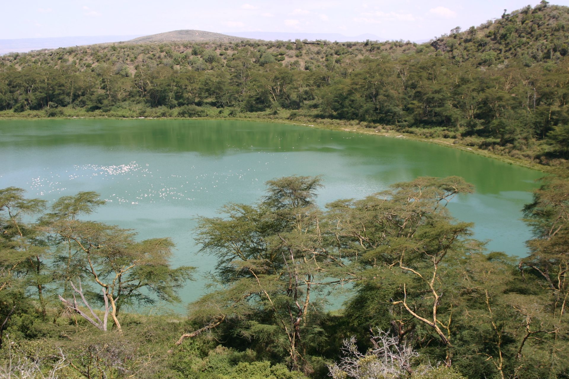 crater later